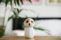 Spring Copenhagen Saltkværn Sneuglen -Hjem Forsyninger 3990 adc11992 e640 4405 a749 71bae5d01b34