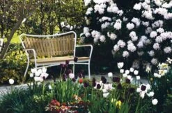 Marguerit Havebænk -Hjem Forsyninger 3990 b7d428bb bd8c 44e0 8845 15bde0b15fcc